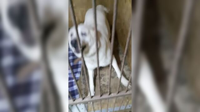 Видео порнуха #68071