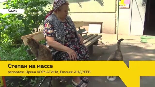 Видео порнуха #54302