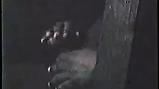 Видео порнуха #181158