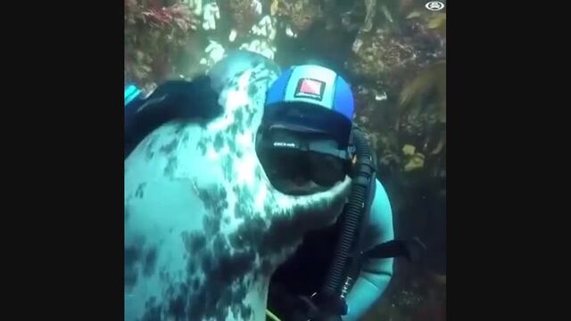 Видео порнуха #156009