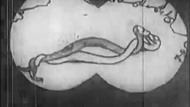 Видео порнуха #227801