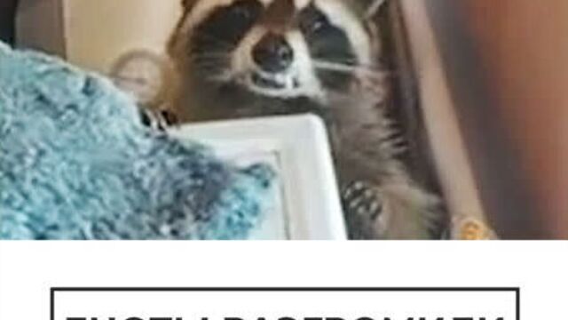 Видео порнуха #77471