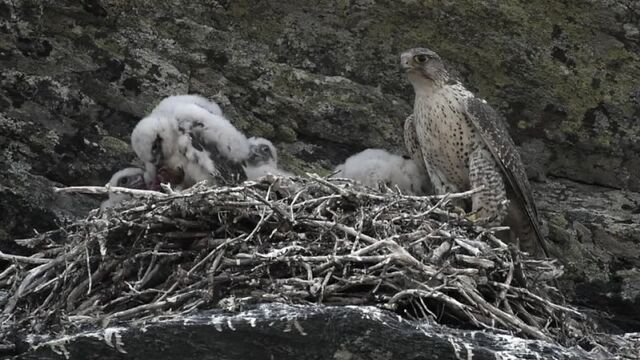 Видео порнуха #122623