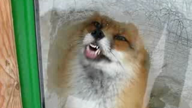 Видео порнуха #4767