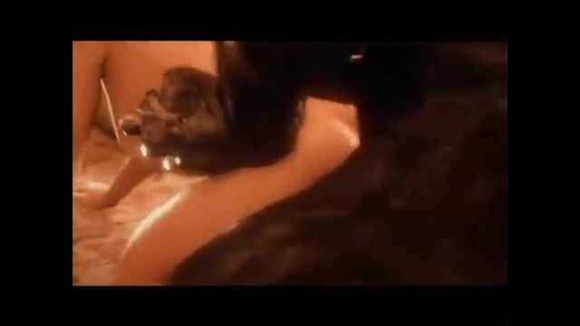 Видео порнуха #155394