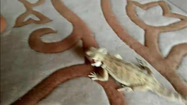 Видео порнуха #23038