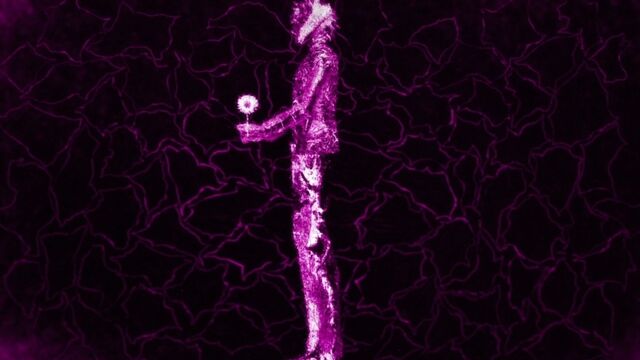 Видео порнуха #154972