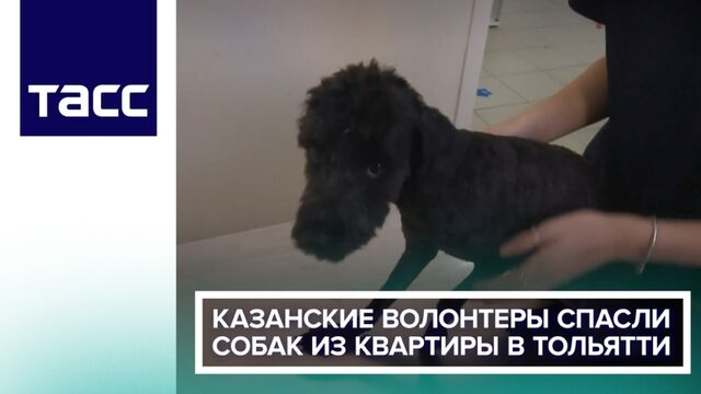 Видео порнуха #136653