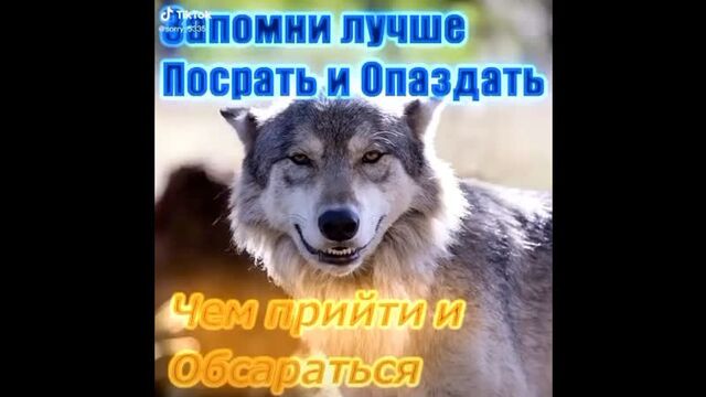 Видео порнуха #52657