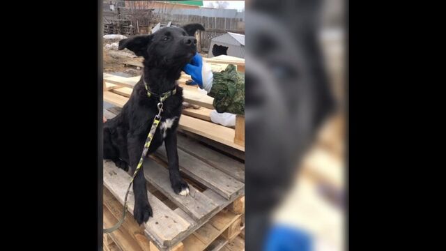 Видео порнуха #124842