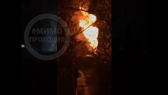 Видео порнуха #42096