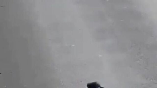 Видео порнуха #69391