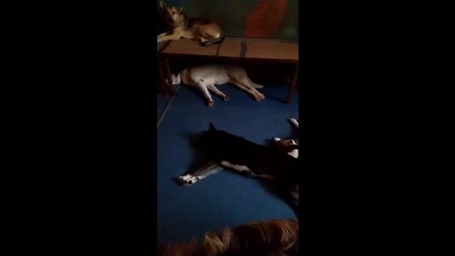 Видео порнуха #69903