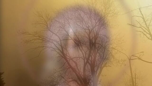 Видео порнуха #48546