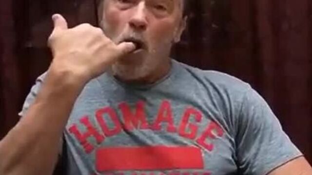 Видео порнуха #61262