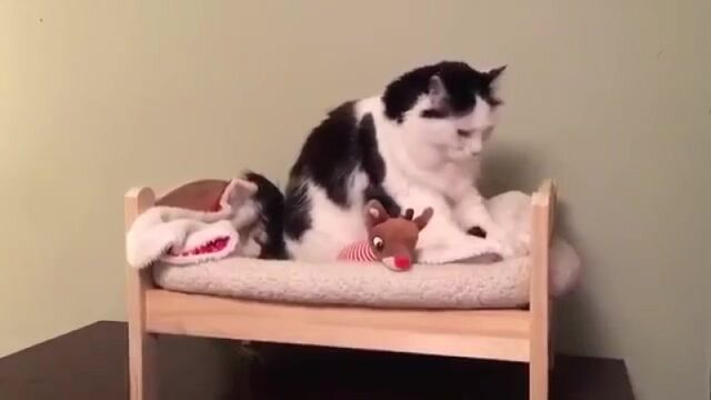 Видео порнуха #166393