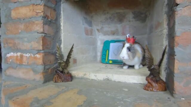 Видео порнуха #36648