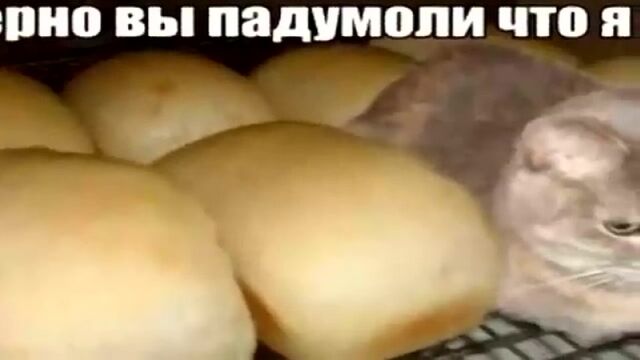 Видео порнуха #35462