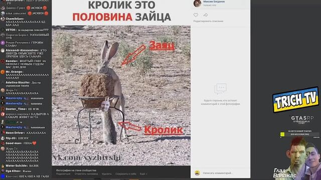 Видео порнуха #76474