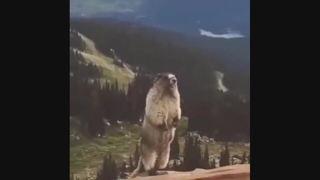 Видео порнуха #156204