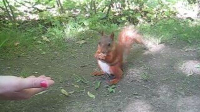 Видео порнуха #8674