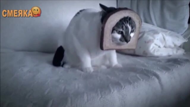 Видео порнуха #124015