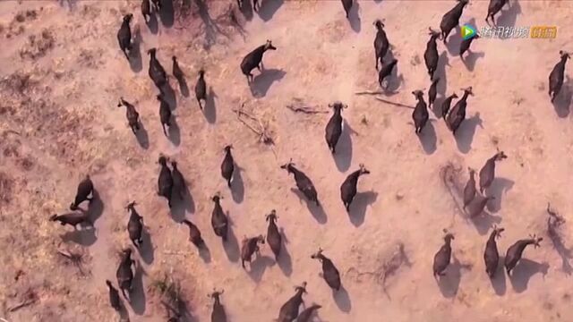 Видео порнуха #69429