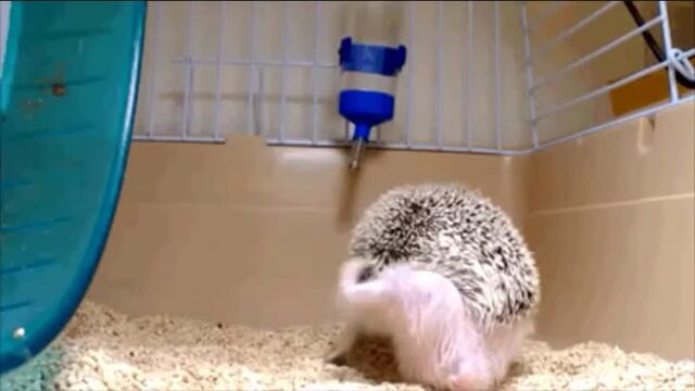 Видео порнуха #39973