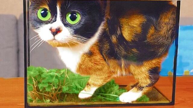 Видео порнуха #71888