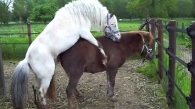 Видео порнуха #1279