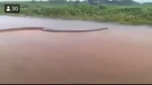 Видео порнуха #51760