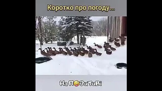 Видео порнуха #68936