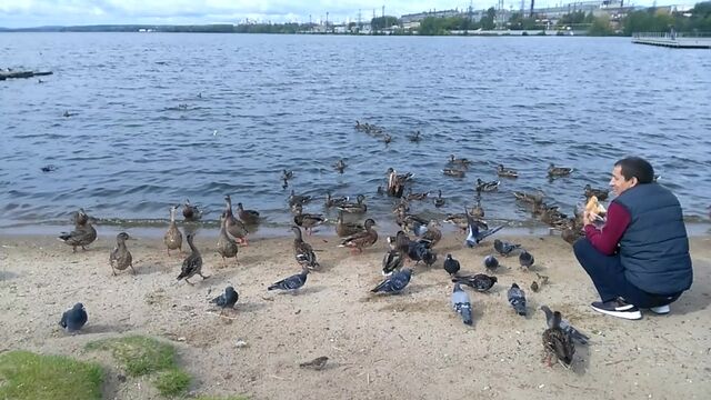 Видео порнуха #169993