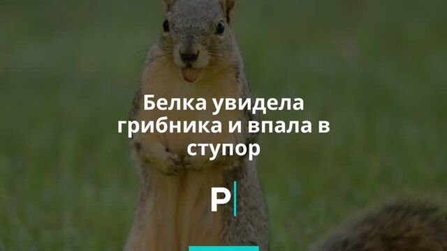 Видео порнуха #63109