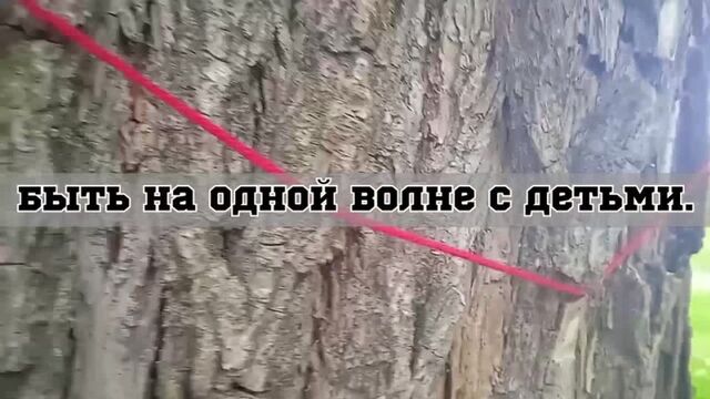 Видео порнуха #83171