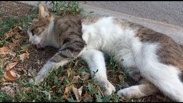 Видео порнуха #186964