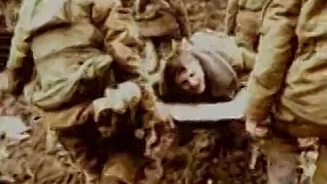 Видео порнуха #1573