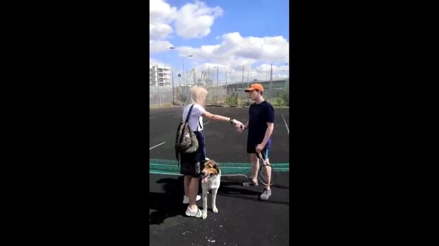 Видео порнуха #60822