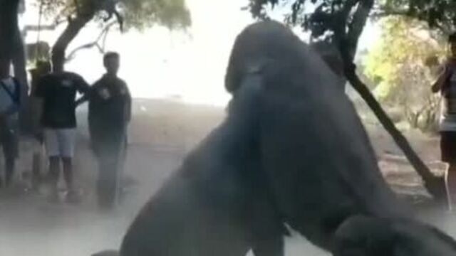 Видео порнуха #58548