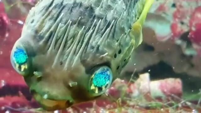 Видео порнуха #94384