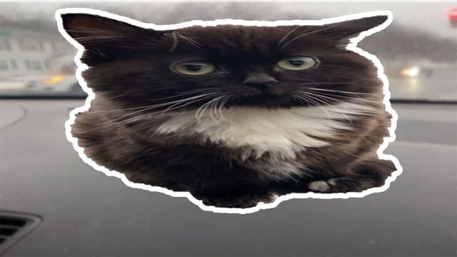 Видео порнуха #90438