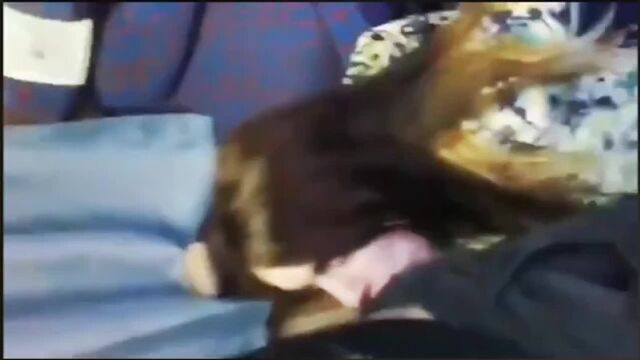 Видео порнуха #172751