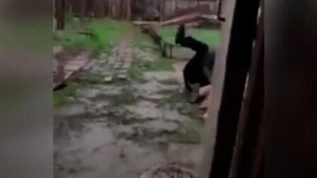 Видео порнуха #58956