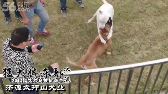 Видео порнуха #18105