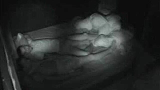 Видео порнуха #222194