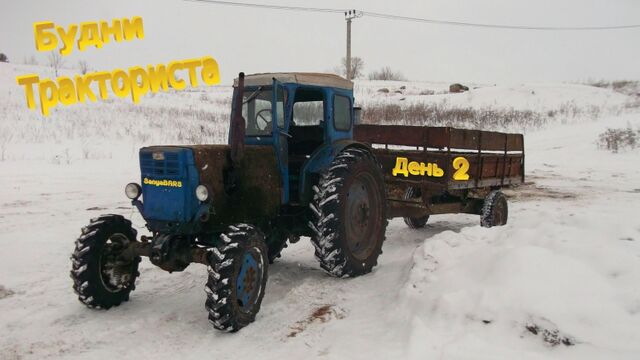 Видео порнуха #20200