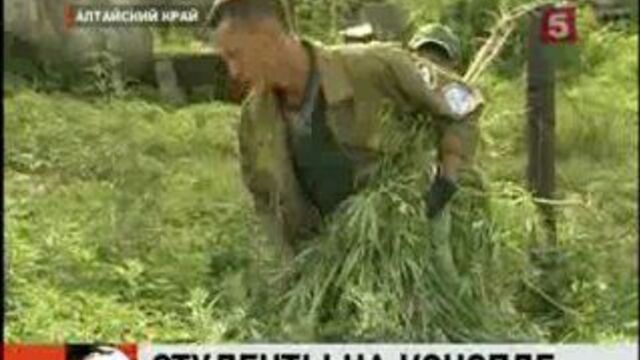 Видео порнуха #1792