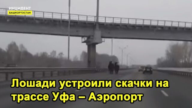 Видео порнуха #191104