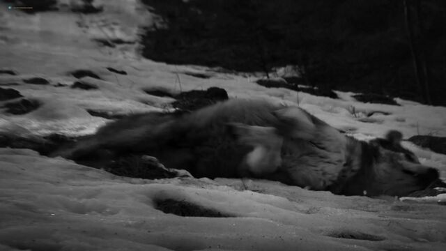 Видео порнуха #120213