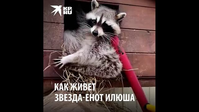 Видео порнуха #89672